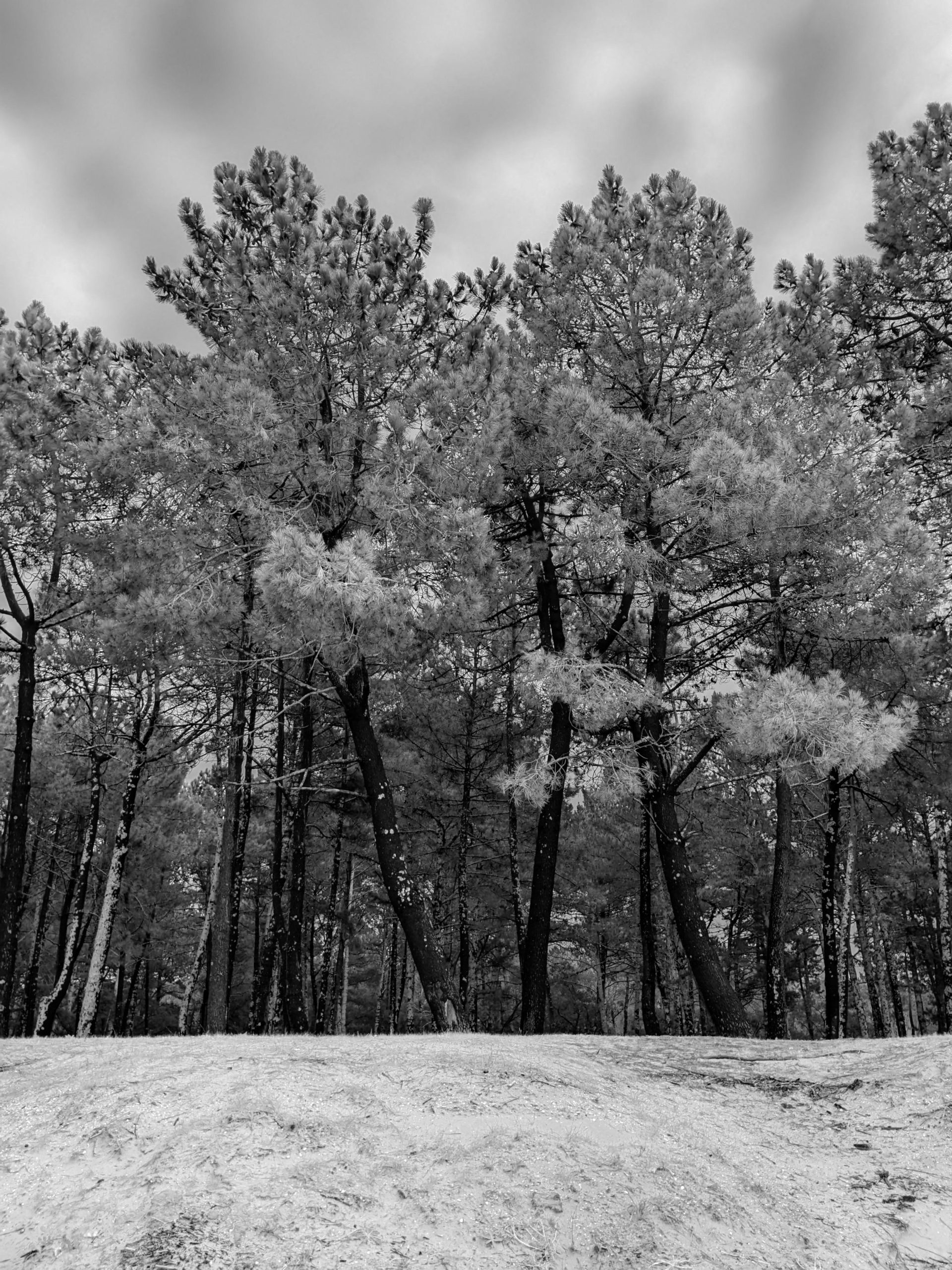 The Cultural Significance of Divination Practices