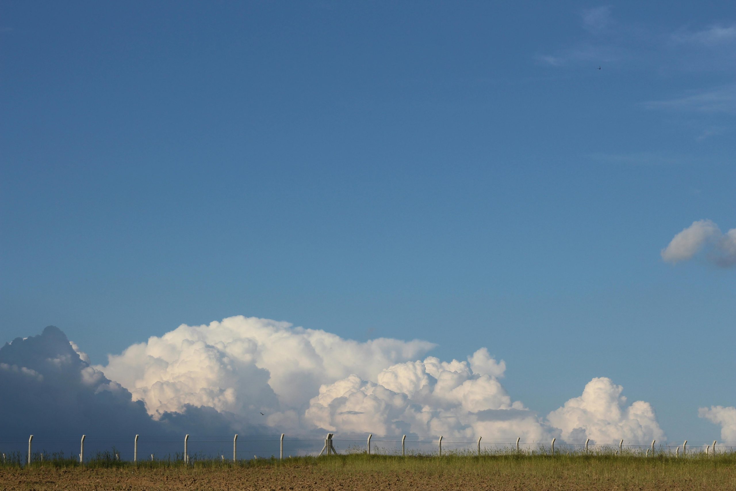 Creating Sacred Spaces for Divination: A Guide to Consecrating Your Environment